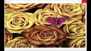 233 ring 113 form control qt tools qtimer in ring Butterfly moving on flowers