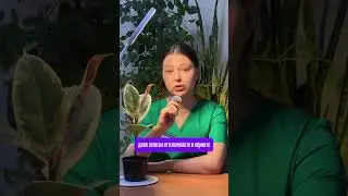 Артикул 480148443 WB.