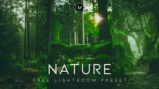 Lightroom Mobile Preset Free DNG | Nature Lightroom Preset Free | lightroom presets