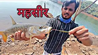 Mahseer fishing 🤩 amazing महासीर मछली पकड़ना अद्भुत #fishingviral #mahseer #mahseerfishing