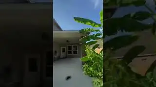 World&rsquo;s FIRST PERSON 360 Dunk! 😱🤯 #shorts
