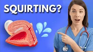 G-Spot, Clitoris, or Both? Understanding What Really Drives Female Orgasm