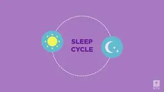 Pillow Power: Build Better Sleep Habits for Success