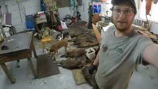 March 13, 2025 - Fur Shed Day, BIG BEAVERS!!