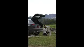 A trip to the mountains with the Outlander Plug-in Hybrid & @LokitheWolfdog  ⛰️