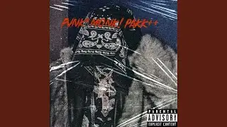 pvNk m0Nk!++