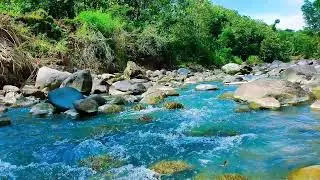 Relaxing Ambience for Sleep    Refreshing Forest River Flow for Mind Relaxation