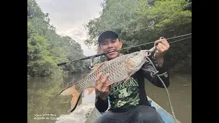Sebarau monster sambar lure 100% store | Set UL