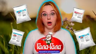 ГАЛА-ГАЛА | ПЕРВОЕ, ВТОРОЕ И ЧТО ПОПИТЬ | магазин Будь Готов