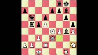 Magnus Chess game 23