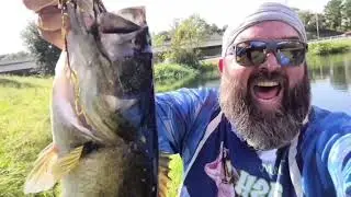 Big Bass Small Pond. Urban fishing in Florida. Caught Some Good Bass Today!