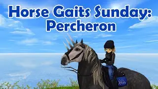 Horse Gaits Sunday: Percheron | #SSO