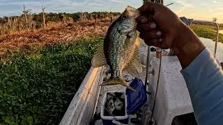 THE DRAW DOWN! None Stop Crappie bite