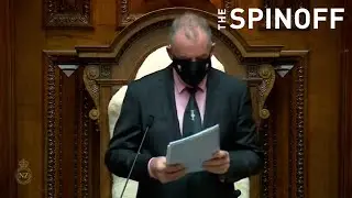 Level four parliament &ndash; without the talking | The Spinoff