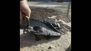 How to apply roofing tar to a roof.