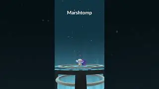shadow Mudkip Pokemon Was full evolved in Pokemon go / Barath gaming