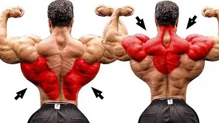 Perfect Bigger Back Exercises You should be doing twice a week