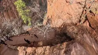 Scout lookout Christmas 2025 