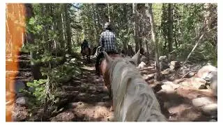 Day Ride in the Sierra with Rock Creek Pack Station