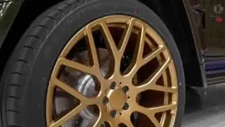 Barbus 800 wadestar