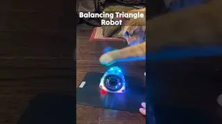 My cats vs 3 cool self-balancing gadgets 😎 #shorts