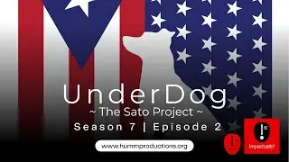 UnderDog - The Sato Project