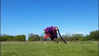 16 Square Meter Trilobite Kite