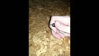 2.5mm Jack to Female 3.5mm Adapter