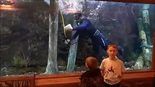 Aquarium cleaner