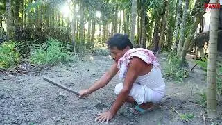 জোৱা | Juwa | Assamese Video