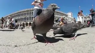 Italy Venice 360 Short Film - a day in Venezia