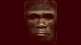 Arkansas Bigfoot, Photo Journal 2019