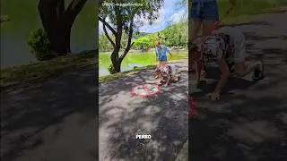 #trending