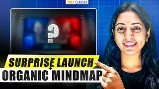 SURPRISE LAUNCH + ORGANIC MIND MAP SERIES