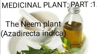 MEDICINAL PLANT; PART:1.. Medicinal properties and uses of neem plant (Azadirecta indica)