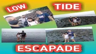 LOWTIDE ESCAPADE....