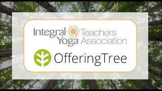 Learn How to Build Your Online Presence: IYTA Webinar - High Res
