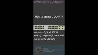 How to create VLAN?  CCNA 200-301 in USA