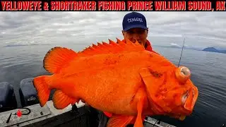 Prince William Sound Yelloweye & Shortraker Fishing
