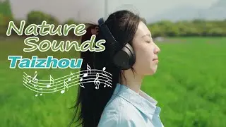 Youxi Town Awakens - Nature Sounds for Stress Relief