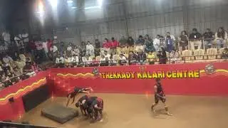 Thekkady Kalari, popular live performances of Kalaripayattu, #kalarippayattu #kerala #warriors 