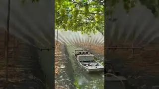 Perfect water spray over grapes 🍇