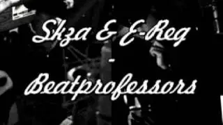 E-Reg & Skza - Beatprofessors