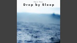 In Sleep Multiverse Song and Brain Wandering