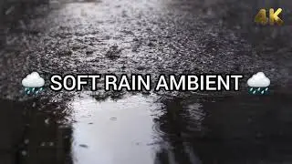 Soft Real Rain with Soothing and Relaxing Sounds before Sleep | Meditation