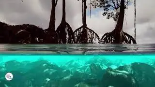 Monitoring ocean mixed layers depth