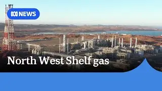 What does the North West Shelf approval mean for Australia's resources industry ? | ABC News