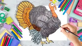 Рисунки и раскраски индюков | Как нарисовать индейку | Легкие книги для раскрашивания индюков