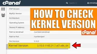 How to find Kernel version via cPanel interface?