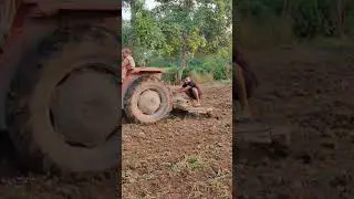 Nature ✨♥️💞 #nature #shortvideos #trending #beautiful #shorts #viralvideos #short #views #viral